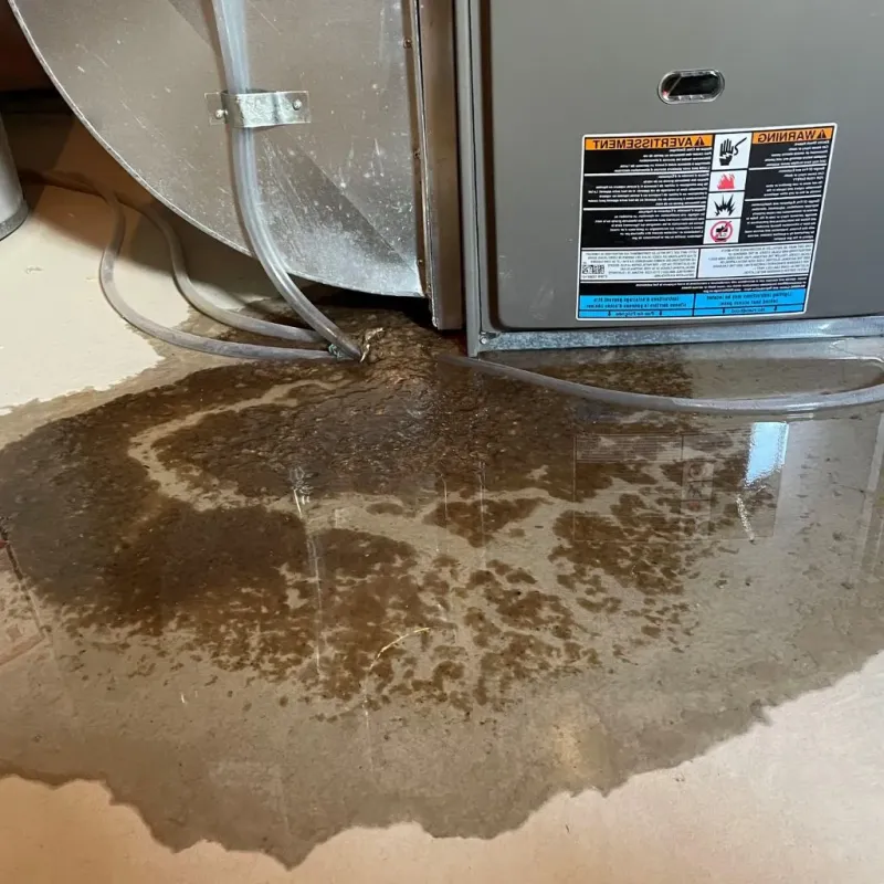 Pipe Burst and Leak Restoration in Spring Ridge, MD